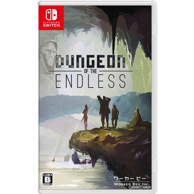 [Switch]ダンジョン オブ ジ エンドレス(Dungeon of the ENDLESS&trade;)