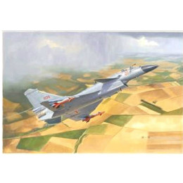 [PTM]01651 1/72 中国空軍 J-10S複座型戦闘機 プラモデル トランペッター