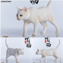 [FIG]1/6 チャイニーズ キャット B 完成品 フィギュア(JXK003B) JXDスタジオ