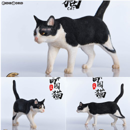 [FIG]1/6 チャイニーズ キャット C 完成品 フィギュア(JXK003C) JXDスタジオ