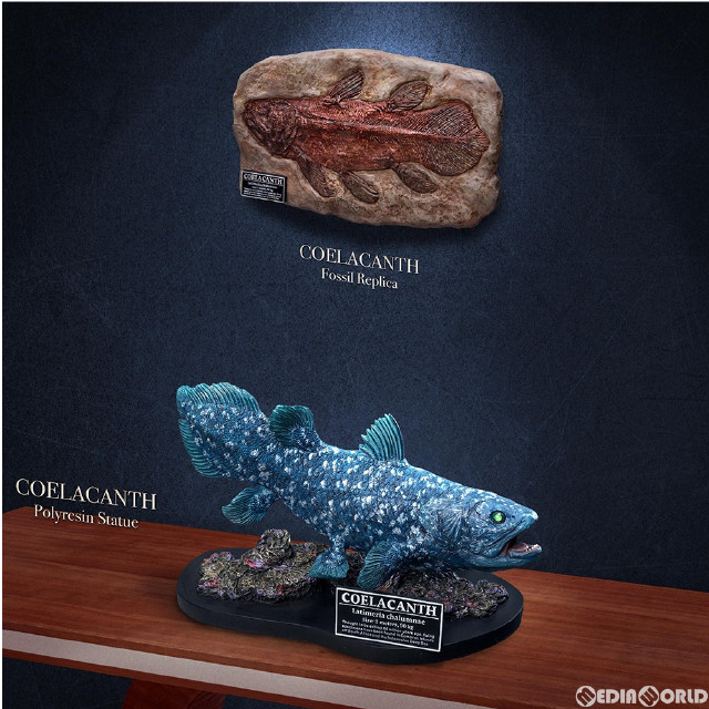 [FIG] ワンダーズ オブ ザ ワイルド シーラカンス ポリレジンスタチュー デラックス版 完成品 フィギュア スターエーストイズ/エクスプラス