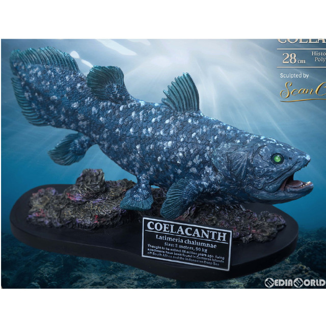 [FIG] ワンダーズ オブ ザ ワイルド シーラカンス ポリレジンスタチュー 完成品 フィギュア スターエーストイズ/エクスプラス
