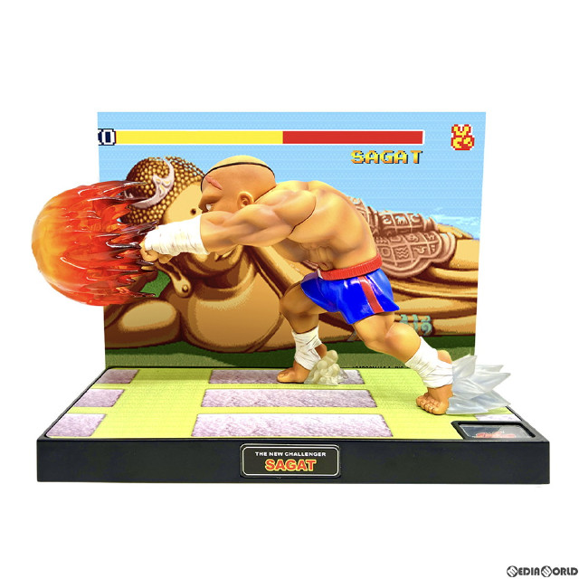 [FIG]T.N.C-10- サガット STREET FIGHTER II(ストリートファイターII) 完成品 フィギュア(AX-0284) Big Boys Toys(ビッグボーイズトイズ)